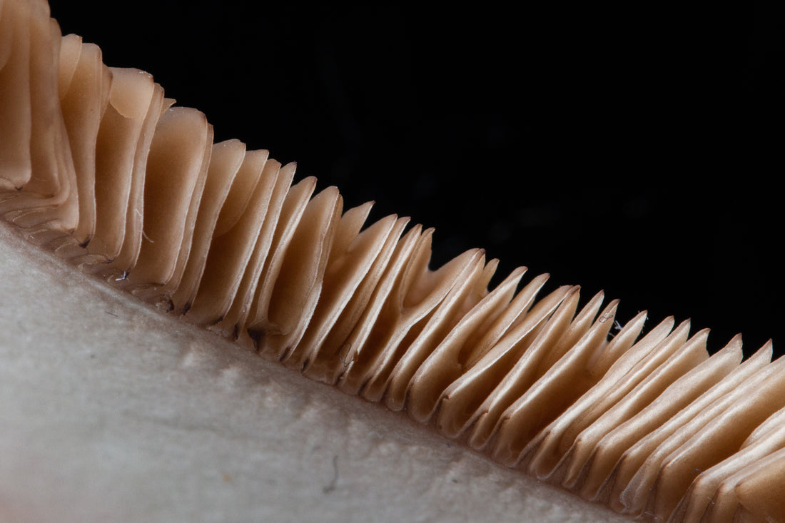 People at a cocktail hour networking event