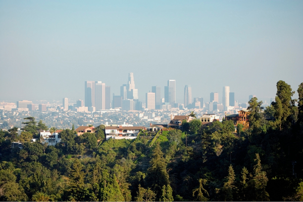 Environmental Toxins & Gut Health: How to Protect Your Microbiome Naturally