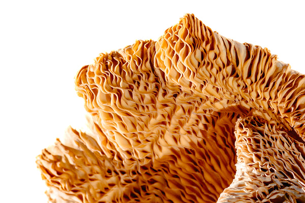 Fecal Microbiota Transplants