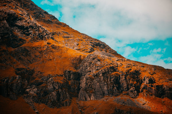 Germ Theory vs Terrain Theory