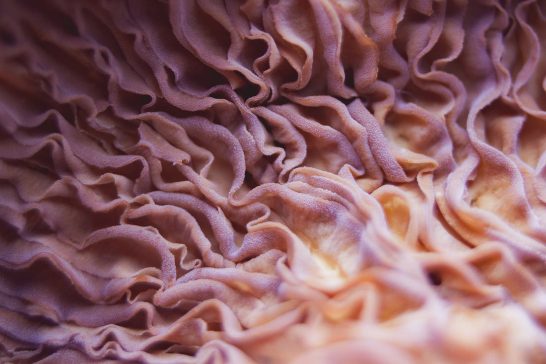 Close-up textural image of tissue