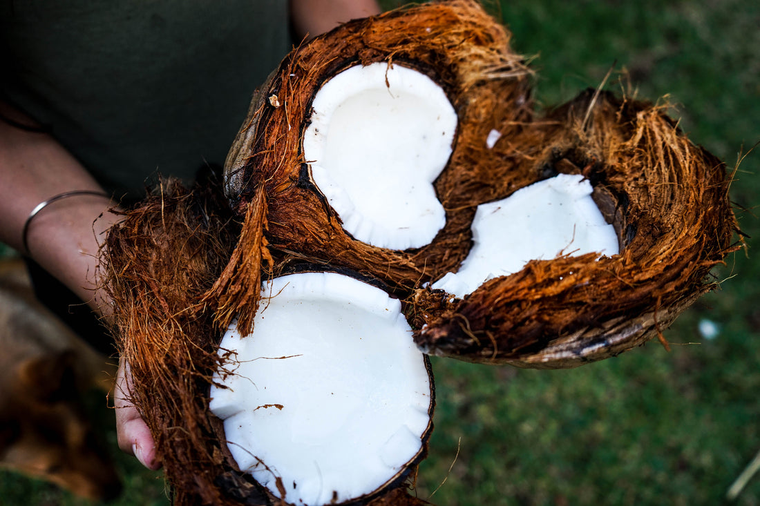 Top 5 Foods for Leaky Gut