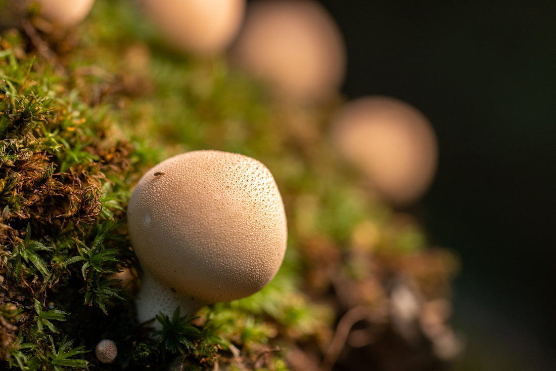 Man dusting soil off his hands standing in a jungle