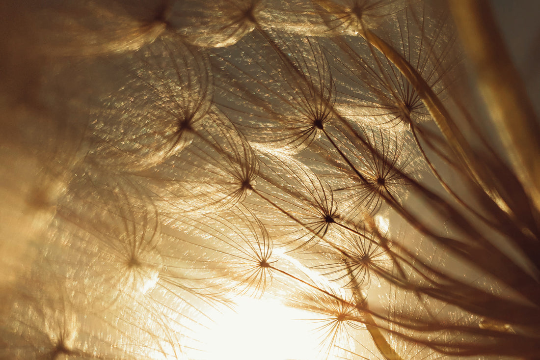 Scientific rendering of bacteriophages