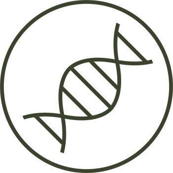 DNA-Verified Strains Icon