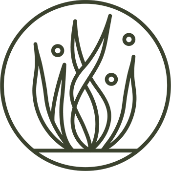 Ancestral Prebiotics Icon